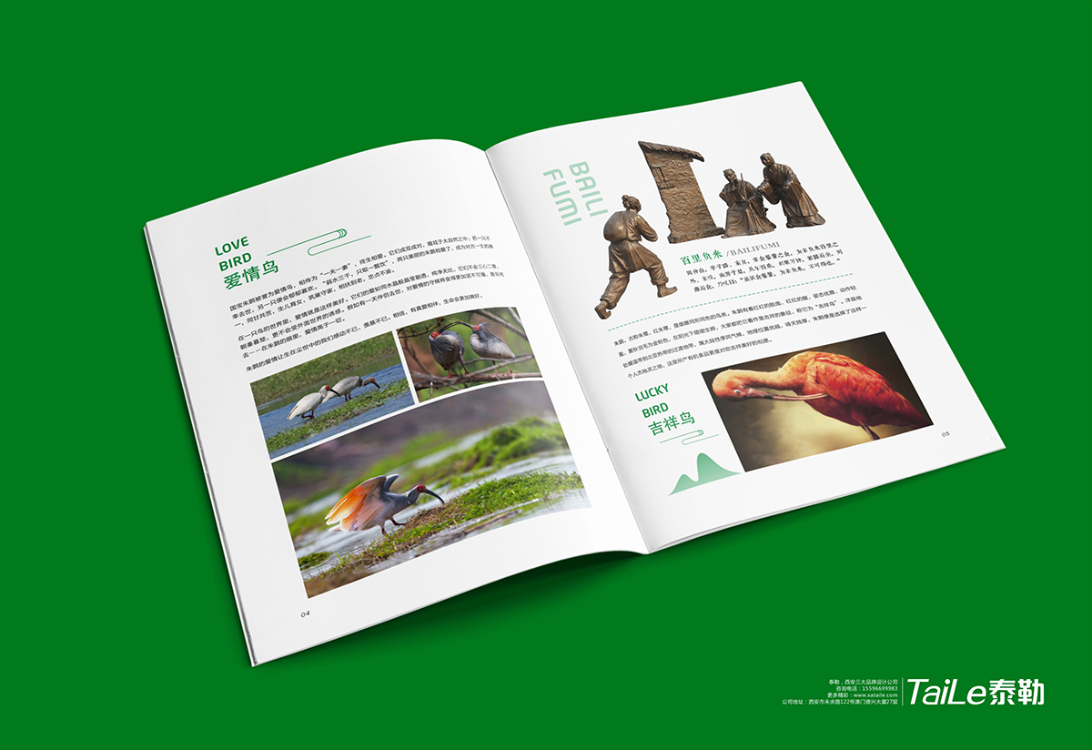 63ef4b794e851.jpg 展現(xiàn)-3.jpg